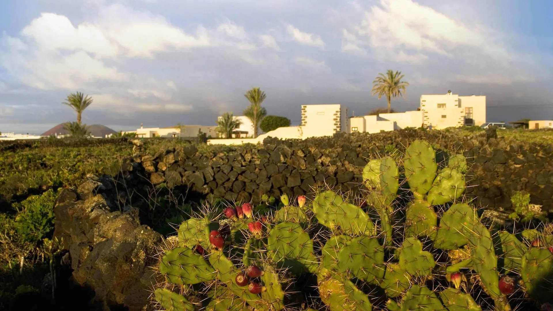 Üdülőközpont Finca Tomaren San Bartolomé