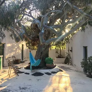 Bed & Breakfast Patio Ii At, La Asomada (Lanzarote)
