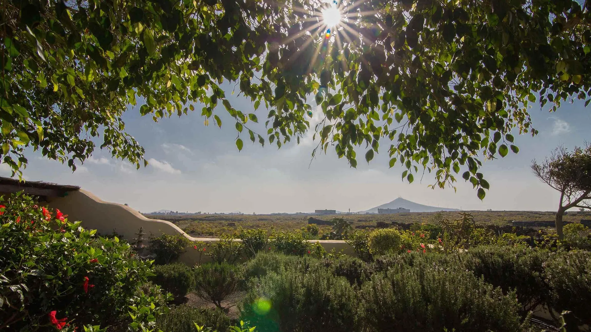 Finca Tomaren San Bartolome  San Bartolome (Las Palmas)