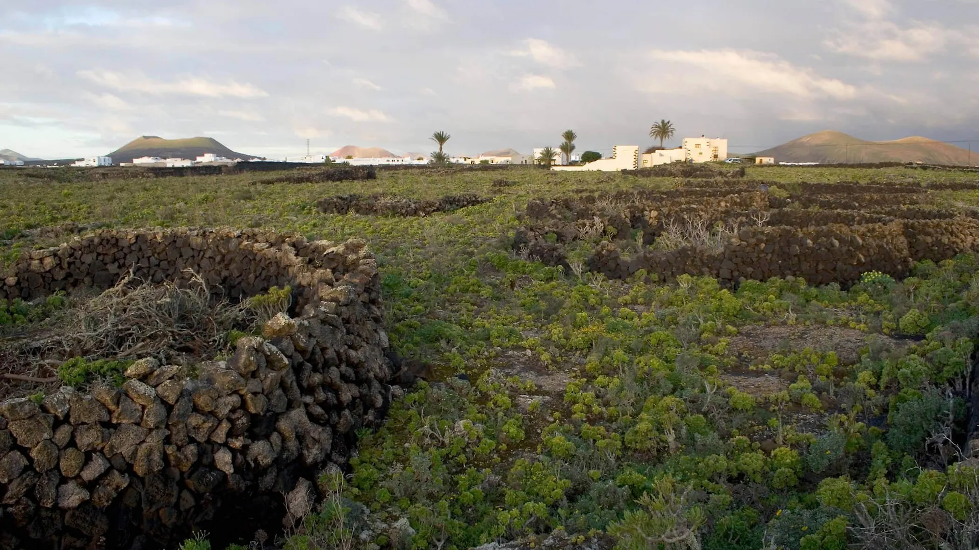 Finca Tomaren San Bartolome