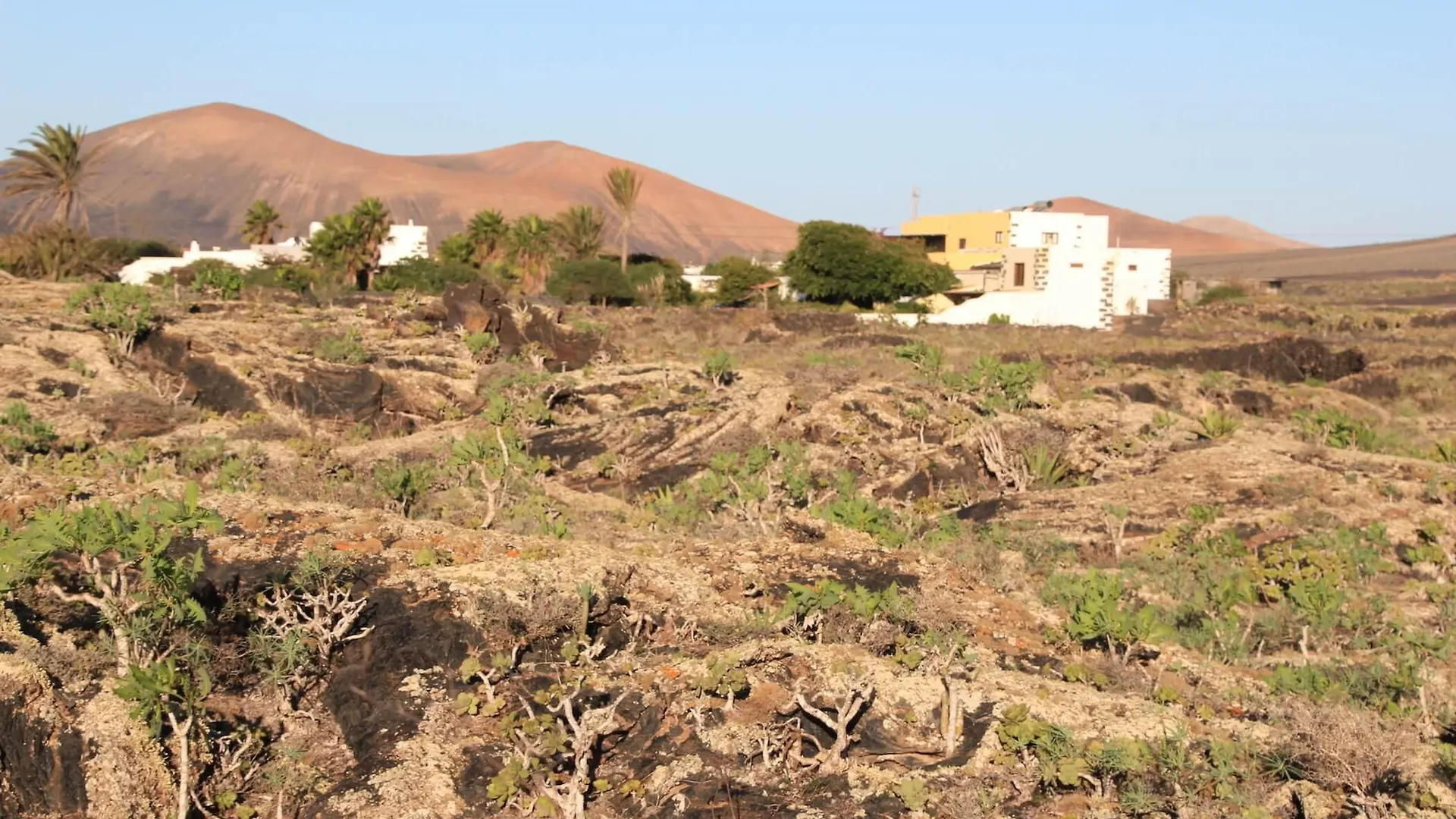 Finca Tomaren San Bartolome  Spain